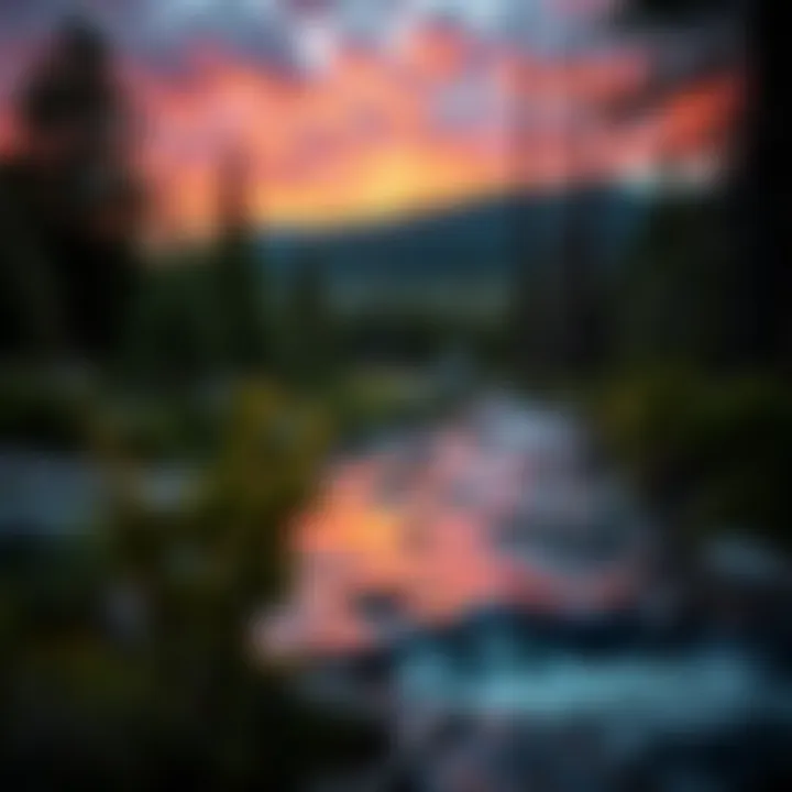 Wolf Creek landscape with dense forest and flowing creek at sunset