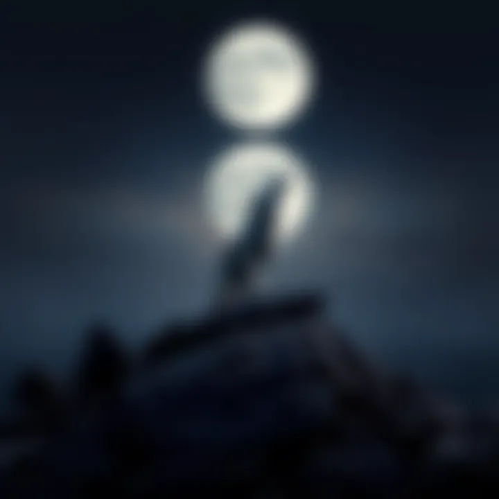 A lone wolf standing atop a rocky hill under a full moon, symbolizing strength and leadership